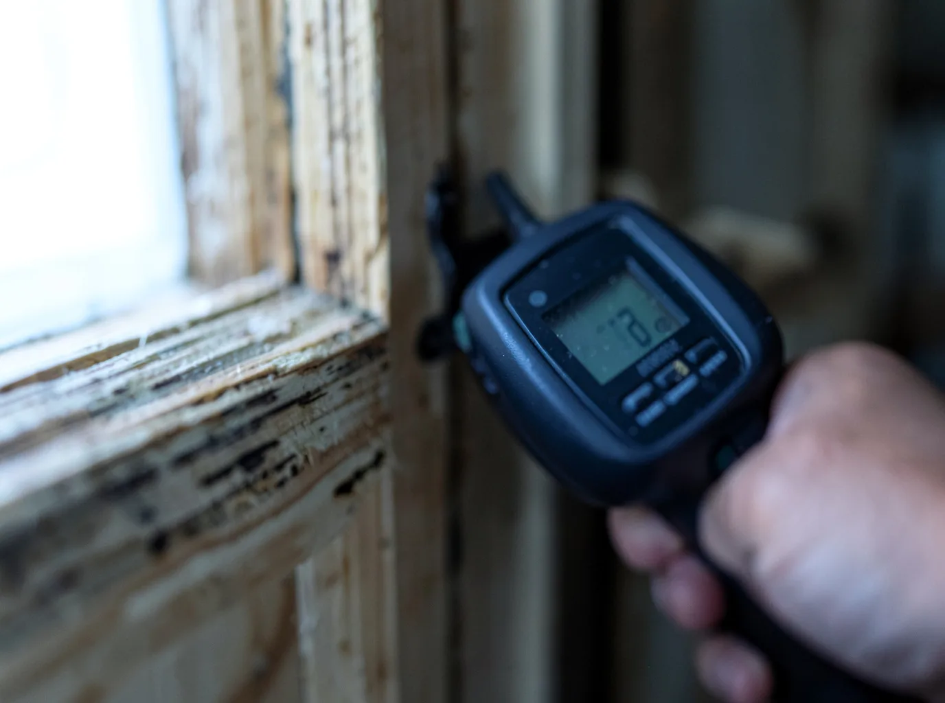 Moisture Inspection And Documentation in Putnam, TX